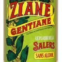 Ziane Aperitivo sin alcohol SALERS (12cl)