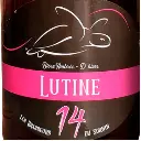 Lutine - (Amber beer with citrus fruits)